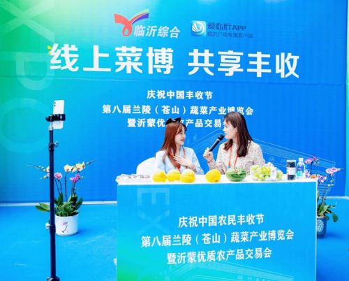 第八屆蘭陵（蒼山）蔬菜產(chǎn)業(yè)博覽會(huì)暨2020年中國(guó)·臨沂農(nóng)民豐收節(jié)盛大開(kāi)幕，鴻雀信息科技助陣數(shù)字化新農(nóng)業(yè)